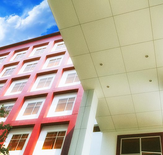 IU THROUGH YOUR EYES