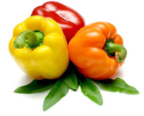 “IU STARTUP DEMO DAY 2021” ƯƠM TẠO GIẤC MƠ KHỞI NGHIỆP VIỆT “IU STARTUP DEMO DAY 2021” ƯƠM TẠO GIẤC MƠ KHỞI NGHIỆP VIỆT