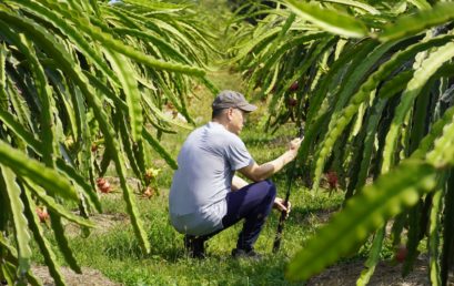 SCIENTISTS FROM INTERNATIONAL UNIVERSITY SUPPORT FARMERS IN BÌNH THUẬN AND NINH THUẬN PROVINCE